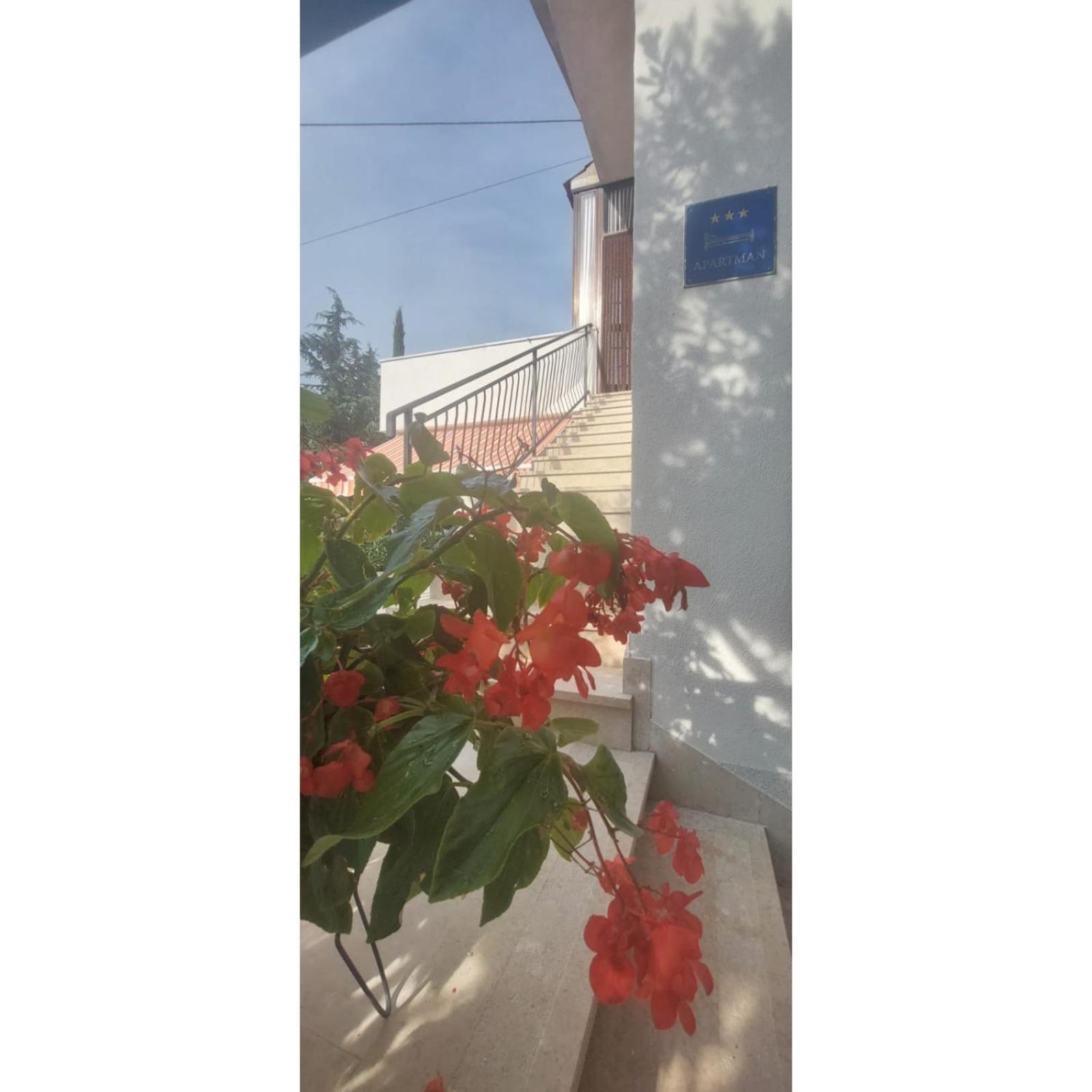 Apartman Dino Roc Bagian luar foto