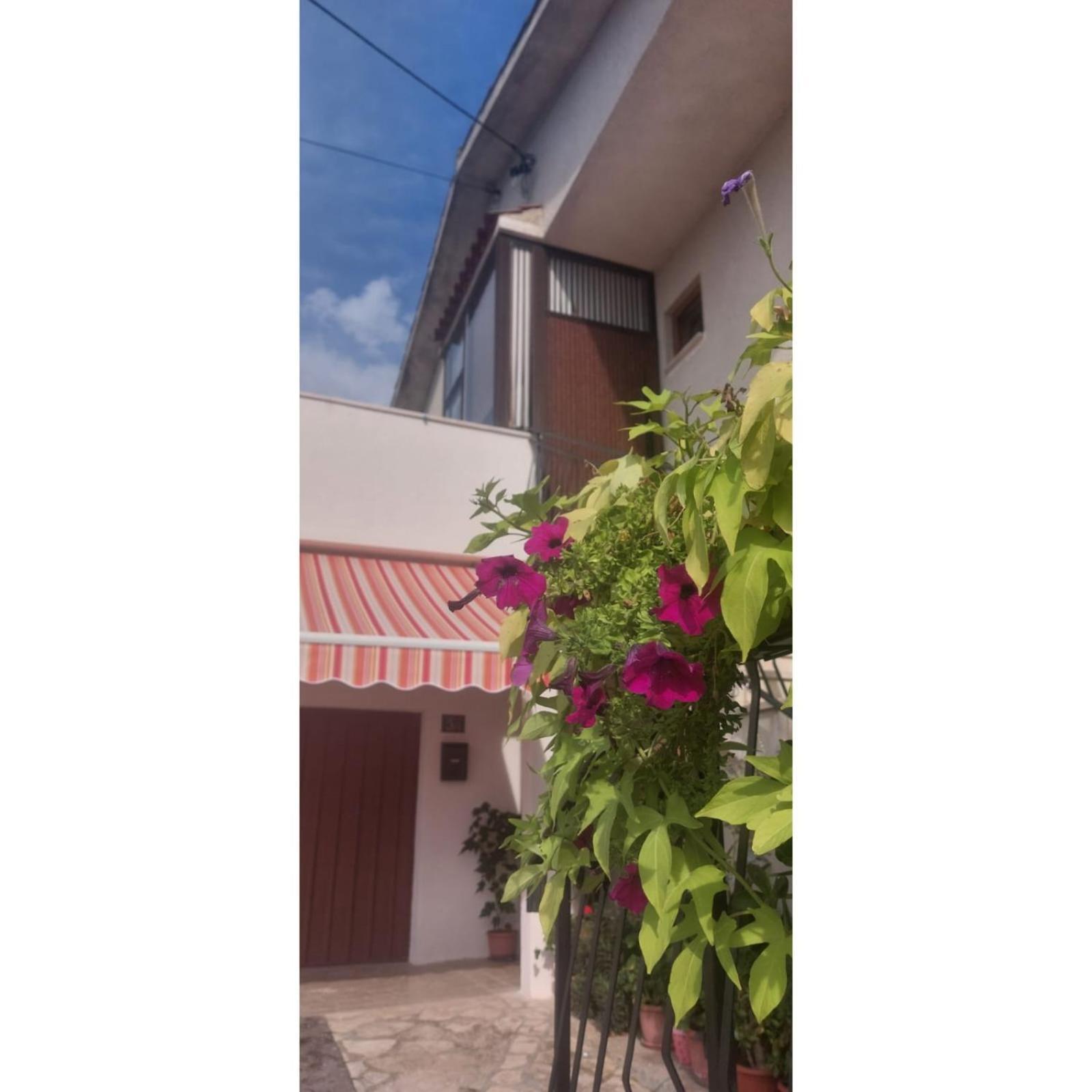 Apartman Dino Roc Bagian luar foto